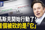 香港希望之聲 香港希望之聲