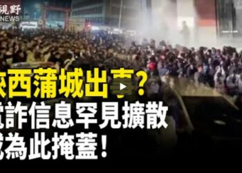 陝西浦城出事了？緬北信息暢通無阻或為此掩蓋