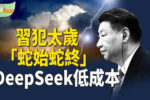 香港希望之聲