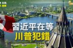 香港希望之聲