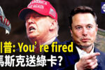 香港希望之聲