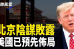 香港希望之聲