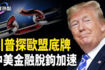 香港希望之聲
