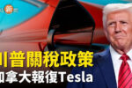 香港希望之聲