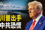 香港希望之聲