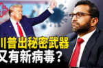 香港希望之聲