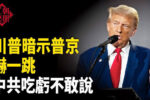 香港希望之聲