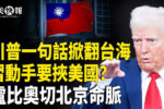 香港希望之聲