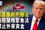 香港希望之聲