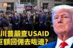 香港希望之聲
