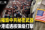 香港希望之聲