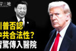 香港希望之聲
