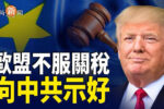 香港希望之聲