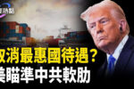 香港希望之聲