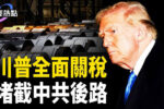 香港希望之聲