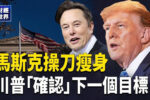 香港希望之聲