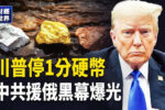 香港希望之聲