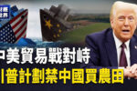 香港希望之聲 香港希望之聲