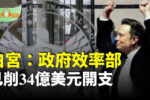 香港希望之聲