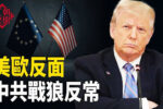 香港希望之聲
