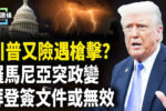 香港希望之聲
