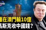 香港希望之聲 香港希望之聲