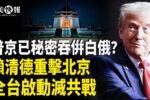 香港希望之聲 香港希望之聲