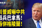 香港希望之聲