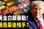 香港希望之聲