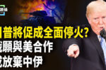 香港希望之聲