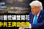 香港希望之聲 香港希望之聲
