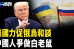 香港希望之聲 香港希望之聲