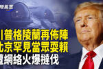 香港希望之聲 香港希望之聲