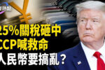 香港希望之聲