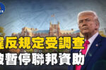 香港希望之聲