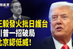 香港希望之聲
