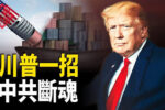 香港希望之聲
