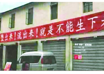 中共兩會再現奇葩提案 靠性教育和延長產假提高生育率？