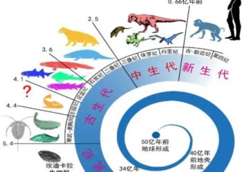 達爾文進化假說誤導科學發展 使世界充滿混亂【生命探索 第四十二集】