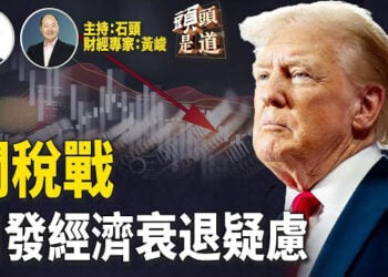 【頭頭是道】美國股市近期波動很大，有經濟衰退風險嗎？高關稅政策引發盟友反制；美國經濟還能撐的住嗎？