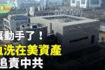 香港希望之聲