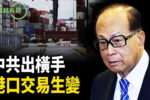 香港希望之聲 香港希望之聲