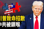 香港希望之聲