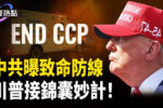 香港希望之聲 香港希望之聲