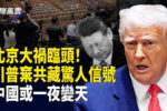 香港希望之聲