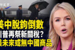 香港希望之聲