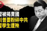 香港希望之聲
