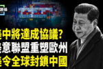 香港希望之聲