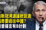 香港希望之聲 香港希望之聲