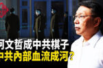 香港希望之聲